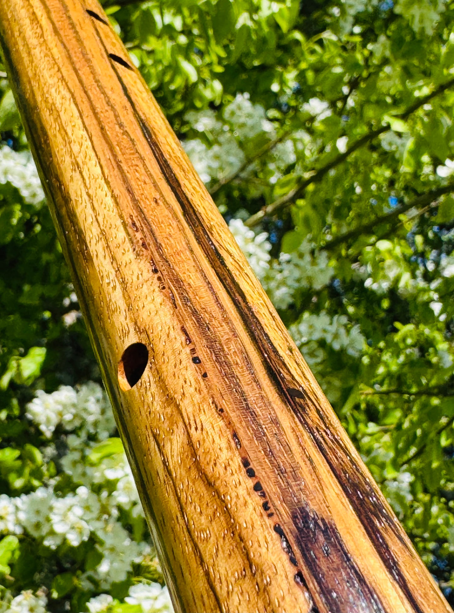 Native Americans flute Zebra wood G 432Hz