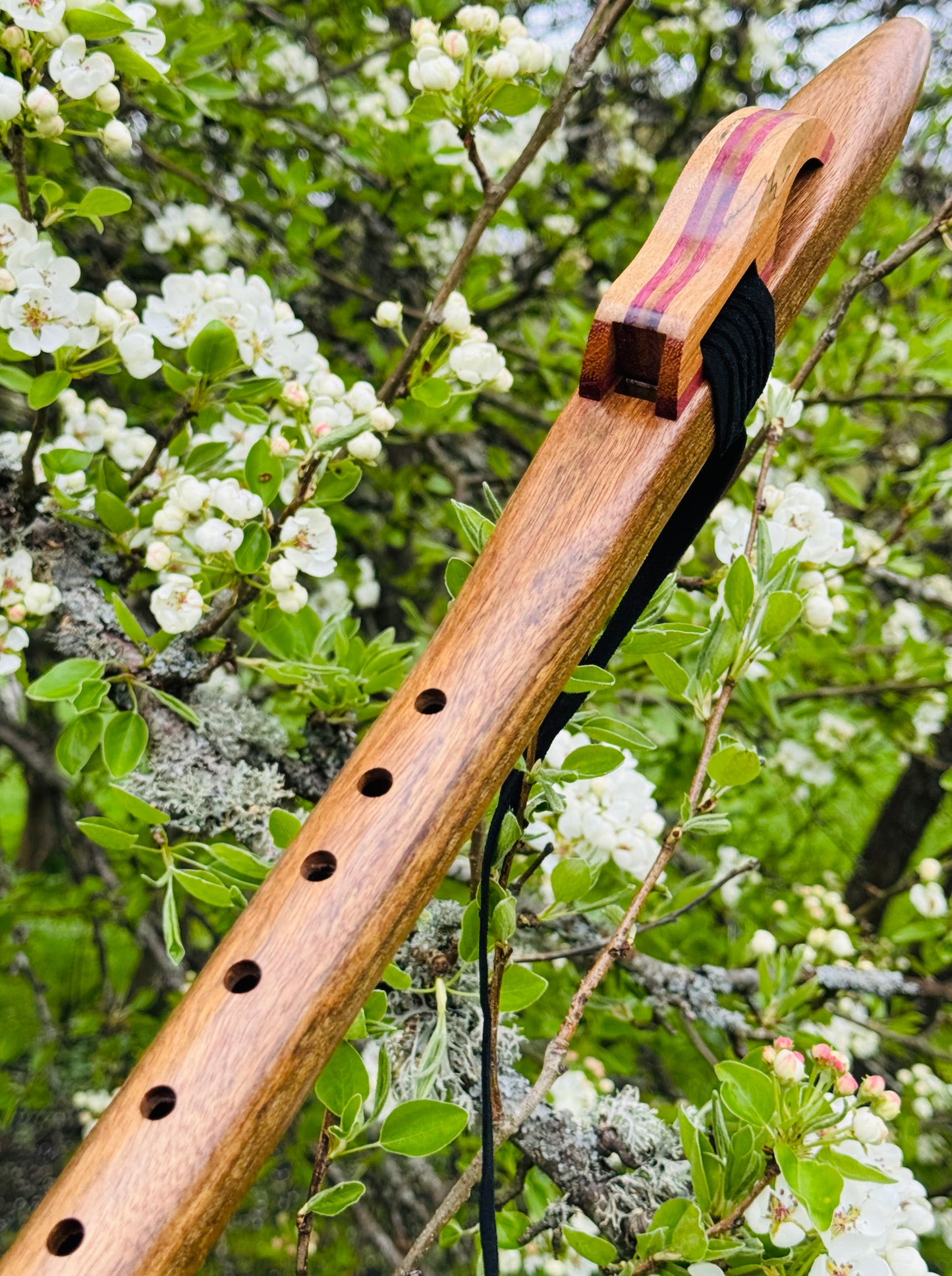 Native Americans flute Amazakoue G 440Hz